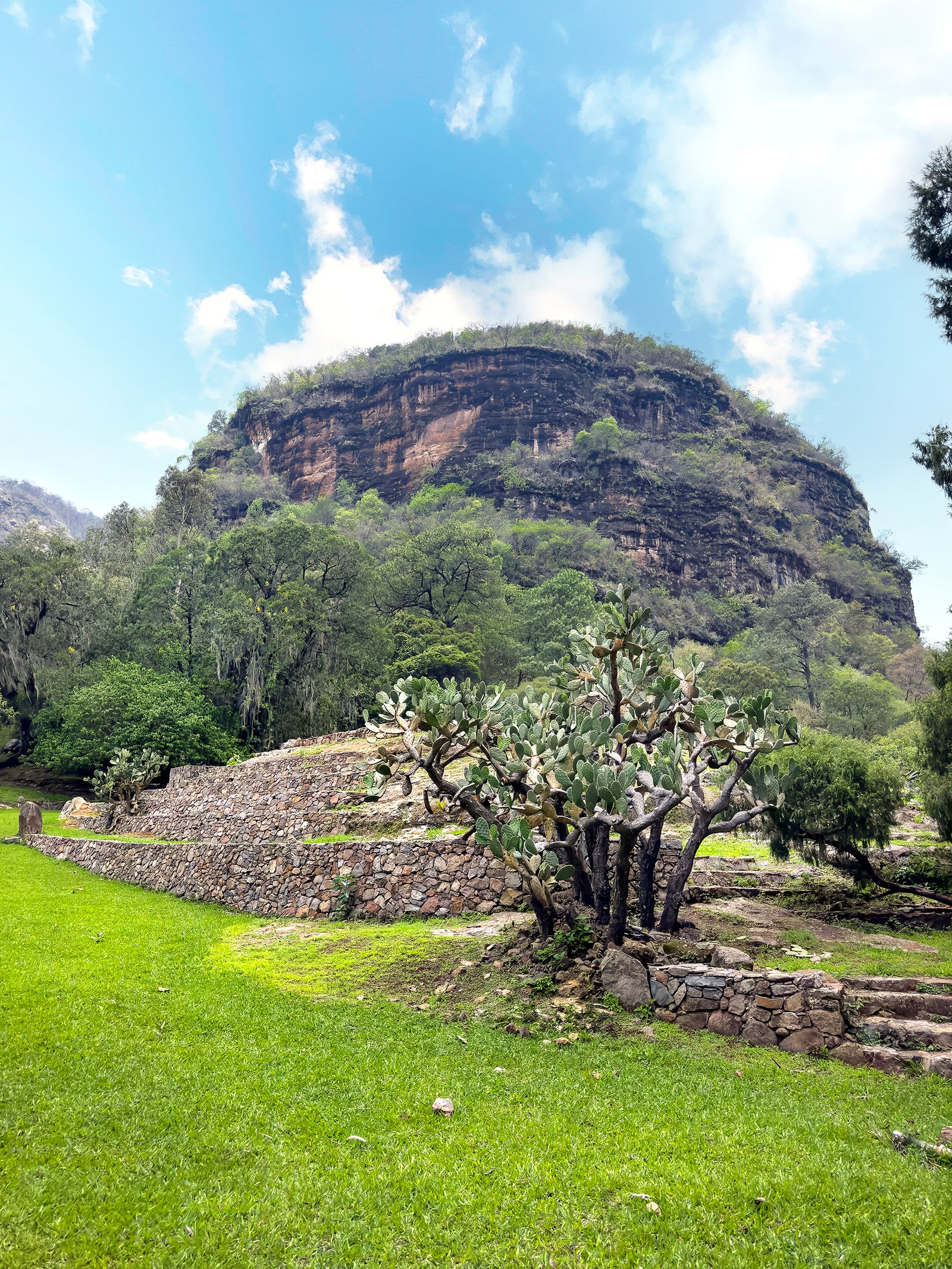 Paisaje del bosque