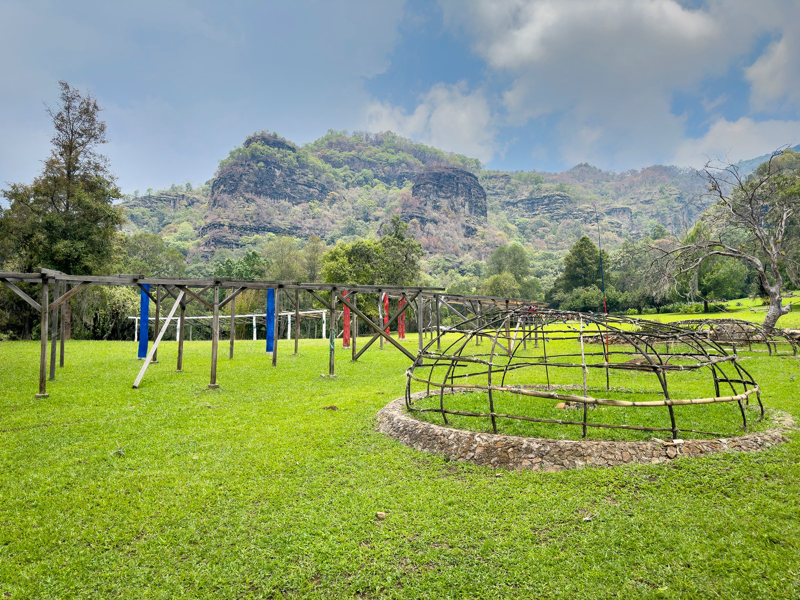 Bosque de Temictla