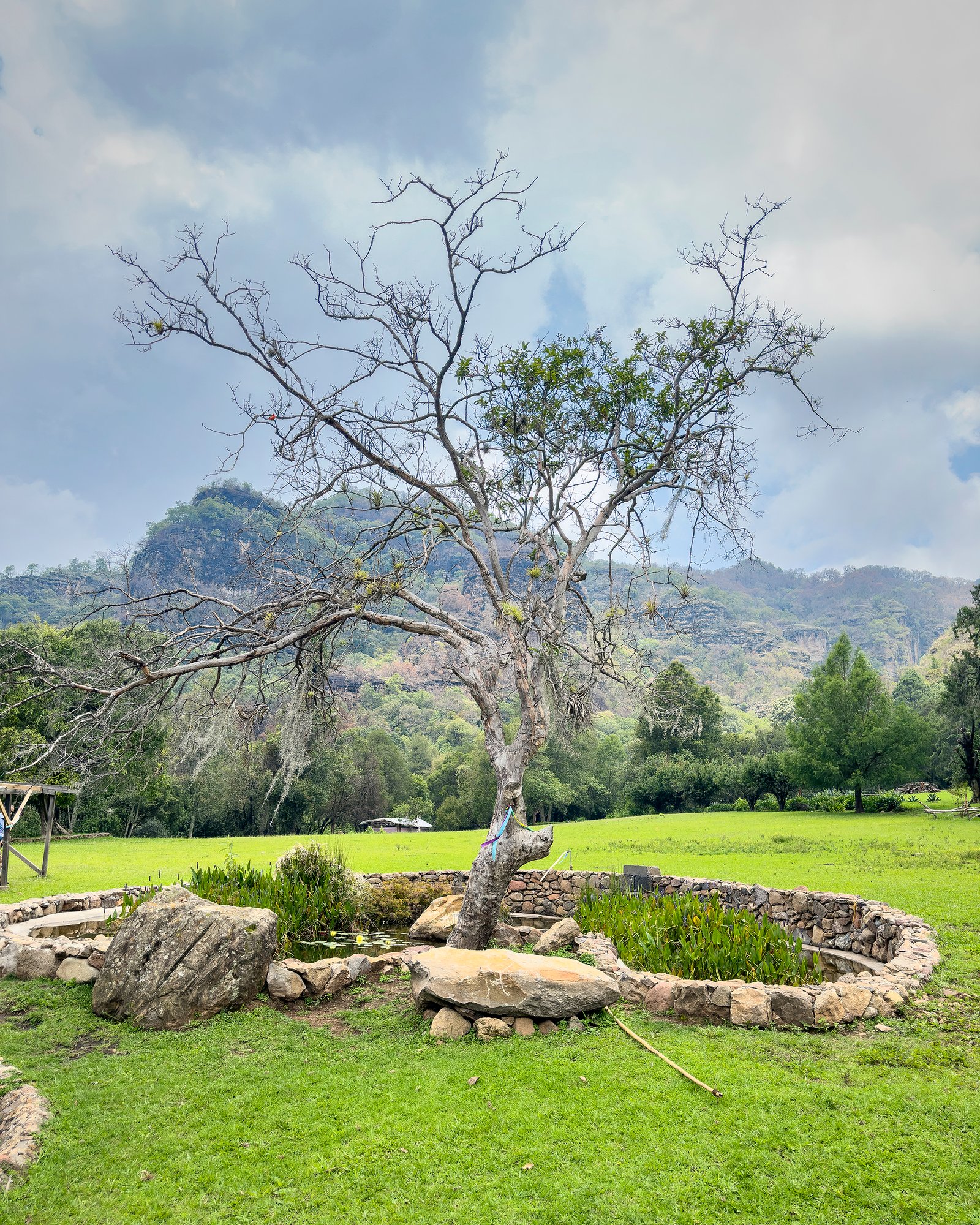 Naturaleza de Temictla